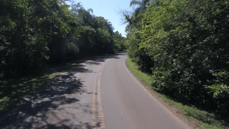 path through leafy forest -argentina