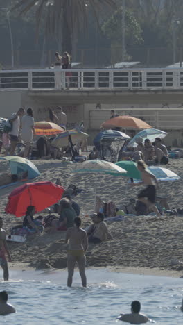 busy beach in sumer in vertical barcelona.