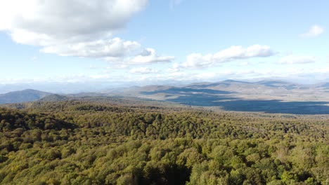 Aerial-View-of-Lush-Green-Trees-In-Sabaduri-National-Forest-At-Daylight-In-Georgia