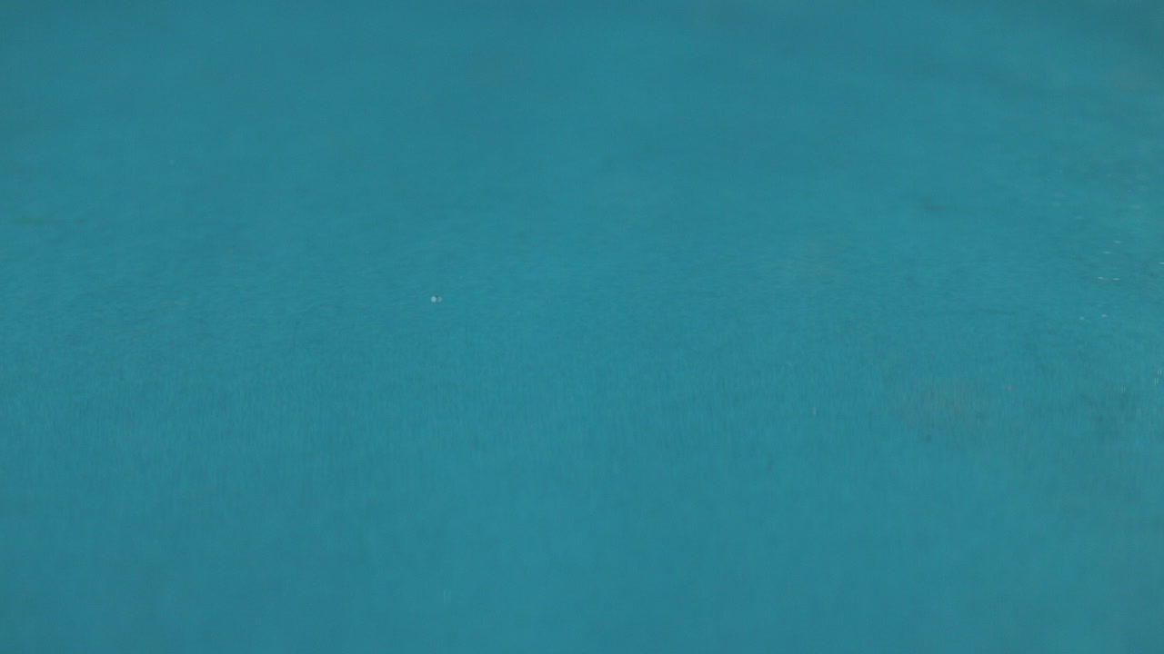 goteando sobre el estanque