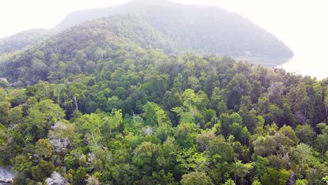 scenic aerial landscape view of kri island, popular diving destination, with rainforest and ocean in raja ampat, west papua, indonesia