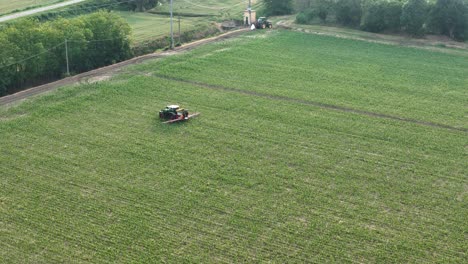 aerial view of a tractor applying pesticides to a maize (zea mays) crop, underscoring risks to food safety and potential chemical residues entering the food chain