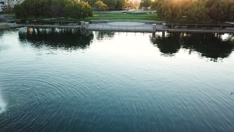 sunrise flight over the lake in a city park during winter in southern california