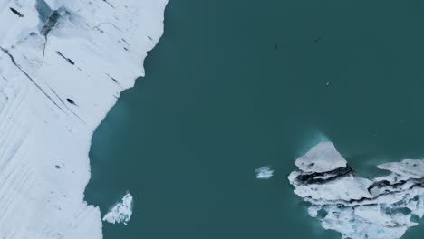 icebergs in blue waters of jokulsarlon glacial lagoon in iceland