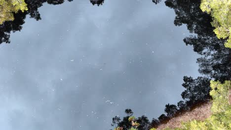 a large pond surrounded by trees and bushes in the middle of a forest area with a sky reflection in the water