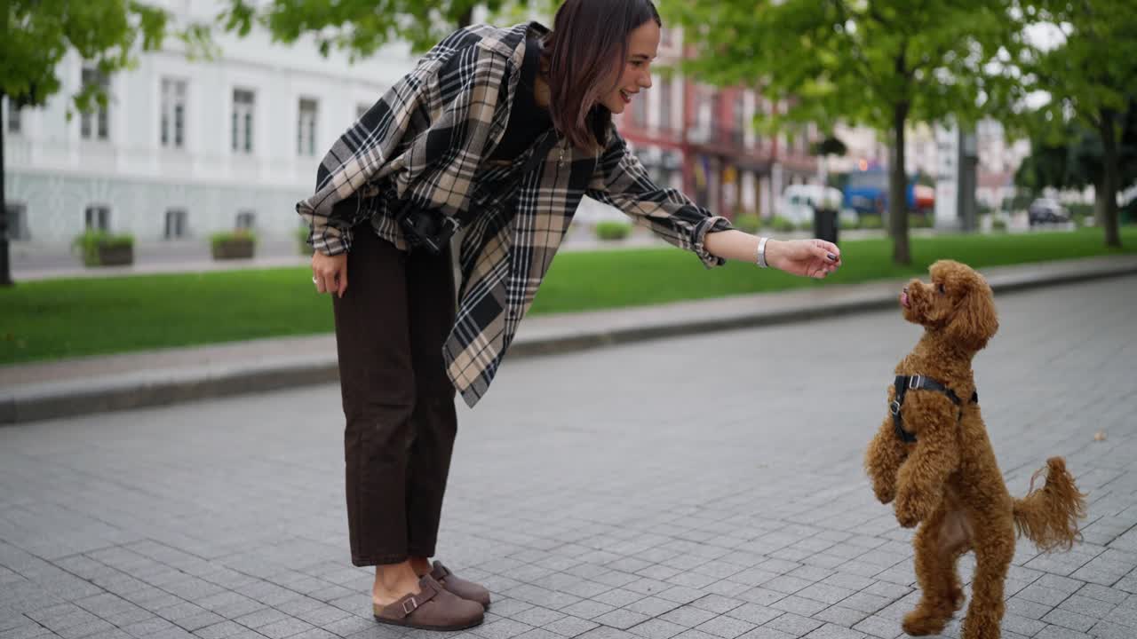 Woman Training Her Poodle on a City Street