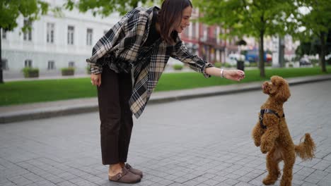 woman training her poodle on a city street