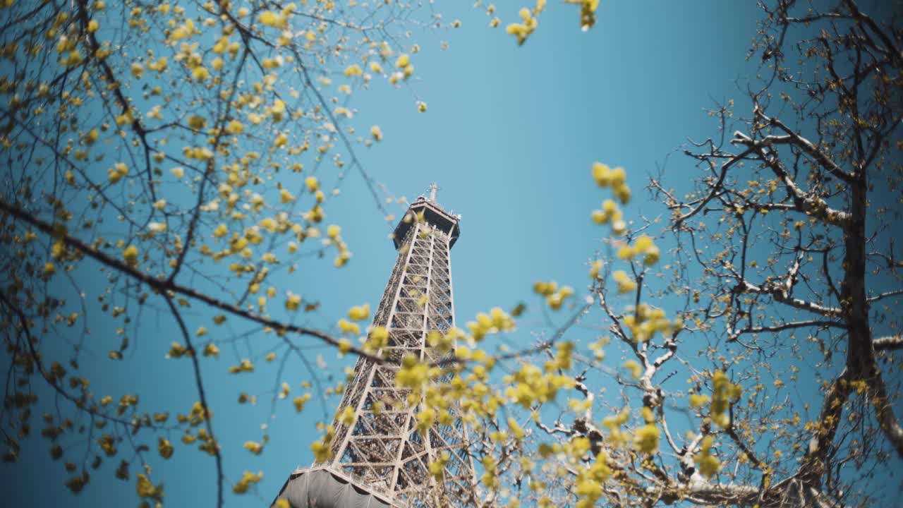 파리 에펠 타워는 나무와 푸른 잎 뒤에서 빛과 파란 하늘 아래