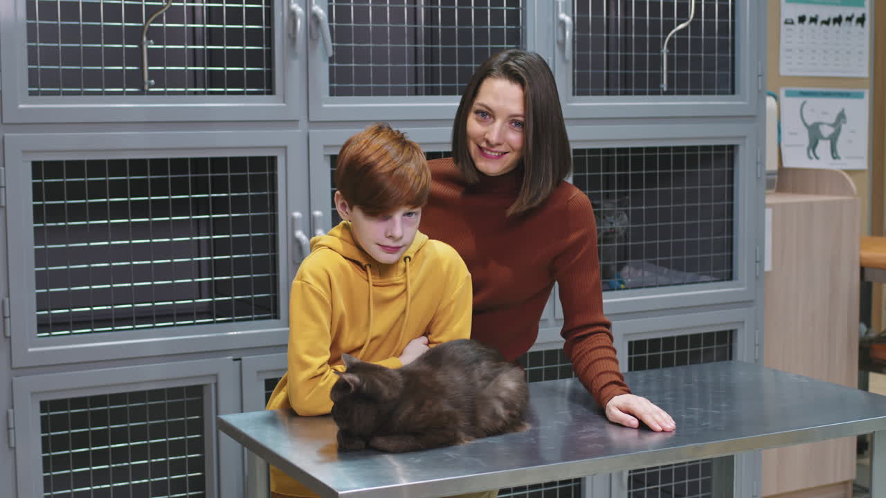 Mom And Son With British Shorthair Cat At Vet Clinic