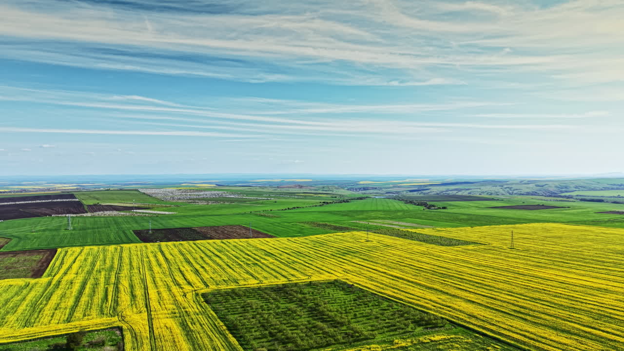 Expansive fields under a clear sky showcasing green and yellow crops in a rural area during daytime