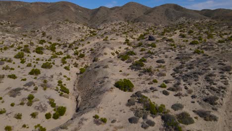 aerial dolly over desert landscape with sparse brush