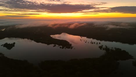 panoramic orange sunset and morning haze over juma river tree canopy, amazonas, brazil