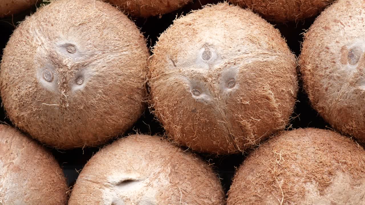 Stack of Brown Coconuts