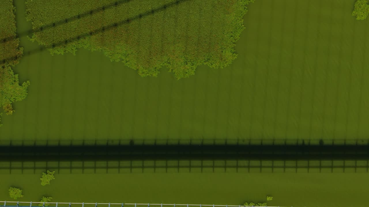 la sombra de un puente reflejada en el agua