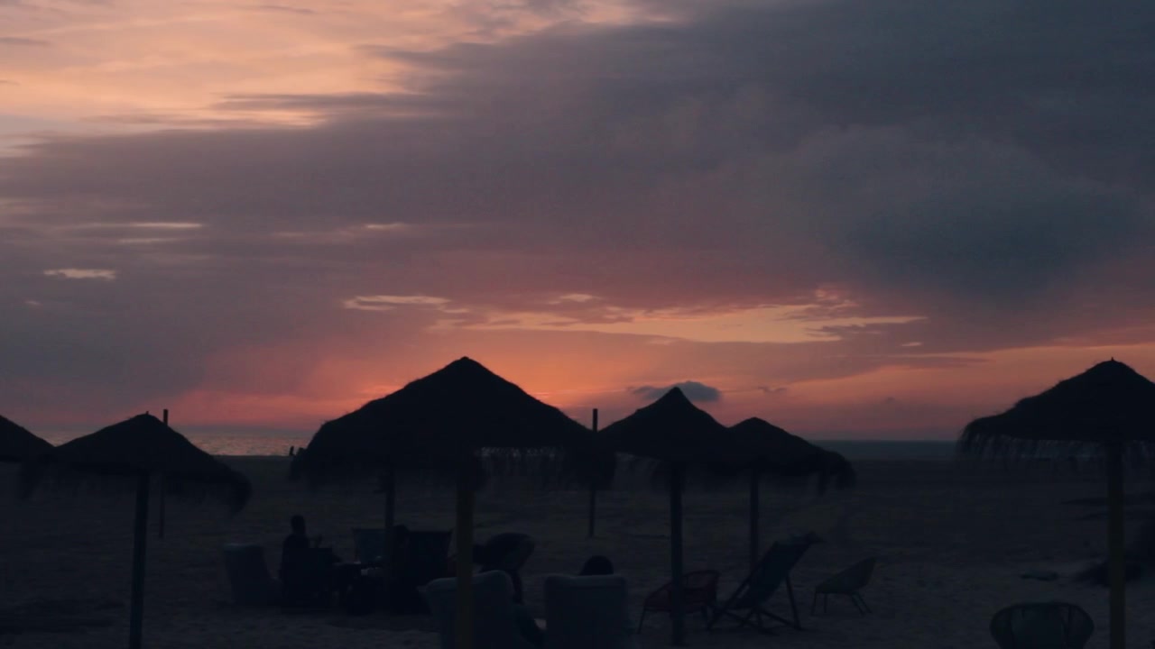 Tramonto con palma a ombrello e cielo viola