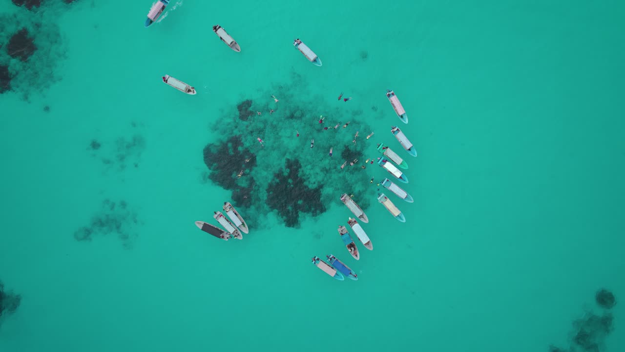 Mnemba Island, Nungwi, Zanzibar, Tanzania- 18 June 2024: Drone view of tourists chasing and swimming with the dolphins in Mnemba Island in Zanzibar