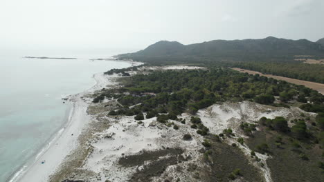 Aerial-drone-video-of-a-beach-with-sand-dunes-in-the-mediterranean,-Sardinia,-Capo-Comino