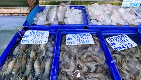 various shrimp displayed for sale at market