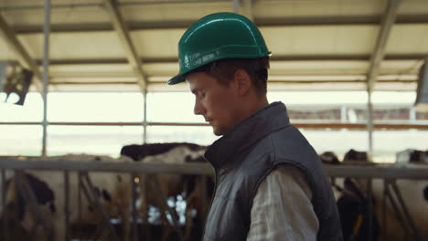 Farm-supervisor-walking-cowshed-in-farm-closeup.-Dairy-manufacture-facility.