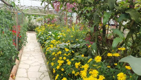 las hermosas flores y camas de hierba de cameron highlands, malasia.