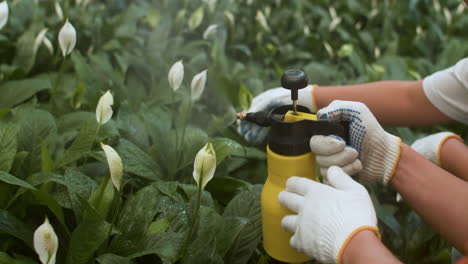 jardineros que trabajan en interiores