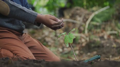 Midsection-of-african-american-boy-watering-plant-in-garden