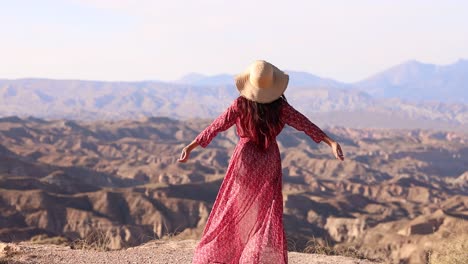 woman in a red dress and hat overlooking a vast desert landscape