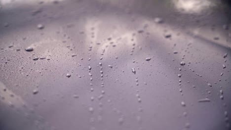 water droplets on a car's glossy surface after washing