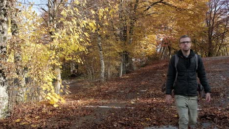 un fotógrafo caminando a través de árboles de colores otoñales mirando a su alrededor todos los colores del bosque en eslovenia cerca del lago bohinj caminando hacia la cámara