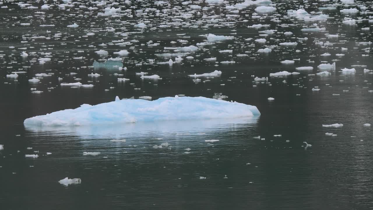 Climate change affecting the glaciers of Alaska. Iceberg floating on Endicott Arm fjord.