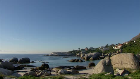 Colonia-De-Pingüinos-De-La-Playa-De-Cantos-Rodados,-Simonstown