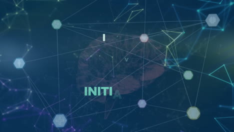 forming brain shape over network connections animation