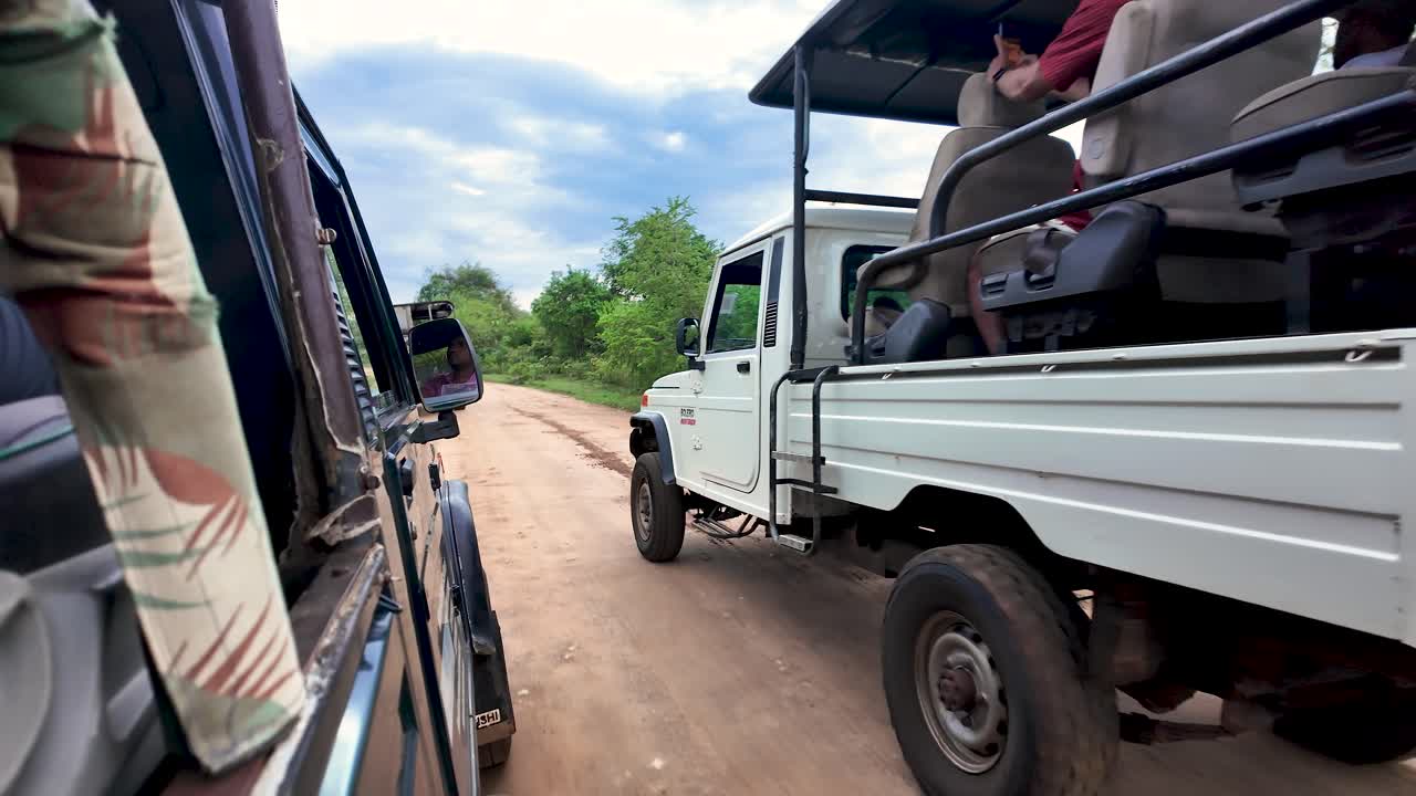 Experience the excitement of a safari drive in Udawalawe National Park, Sri Lanka. Capture the essence of adventure and exploration traveling through this lush wildlife preserve.