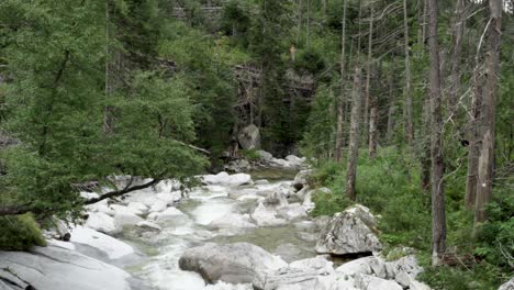 Mountain-river-is-running-downstream,-flowing-past-lush-mountain-vegetation-and-awesome-whitewater-rapids