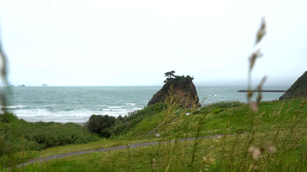 paisaje de la costa de oregon en un día nublado