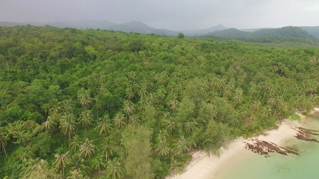 Ripresa aerea ascendente con drone di una spiaggia su un'isola tropicale thailandese con palme da cocco, giungla e oceano limpido a Koh Kood, Thailandia