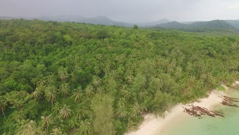 drone aérien prise de vue ascendante d'une plage sur une île thaïlandaise tropicale avec cocotiers et jungle et océan clair à koh kood, thaïlande