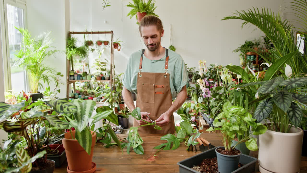 propagador de plantas en el trabajo