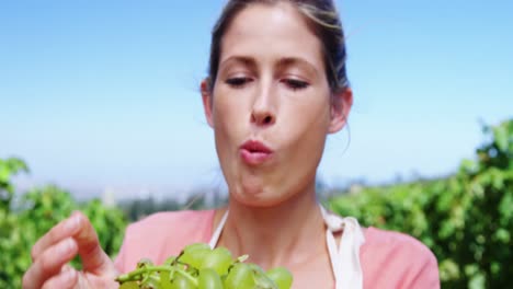 retrato de una mujer feliz comiendo uvas en el viñedo