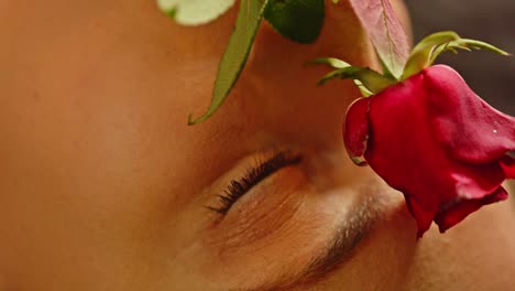 a beautiful red rose gently caresses the enticing face of a beautiful young woman dressed in sexy lingerie