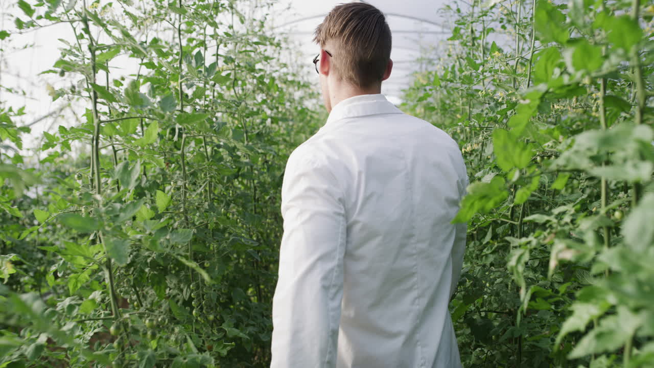 sólo encontrando mi camino a través del follaje