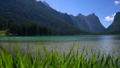 lake dobbiaco in the dolomites, italy