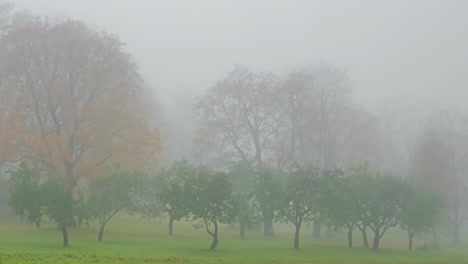 timelapse of winter arriving at a rural farm, leaves falling from trees and snow covering the ground