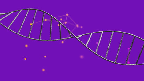 animation of network of connections over dna strand