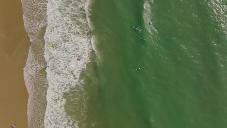 toma aérea de arriba hacia abajo que se aleja de los surfistas que atrapan olas en un hermoso océano turquesa