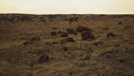 Landscape-view-with-wood-log-at-Petrified-Forest-National-Park-in-Arizona,-panning-shot