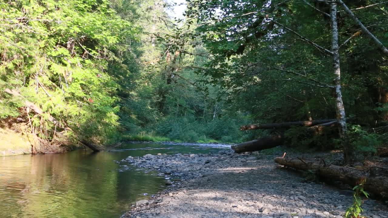 Travel Oregon, Destination, fishing, camping, outdoors, adventure, relaxation, summer, peaceful, tranquil, water, Forrest, trees