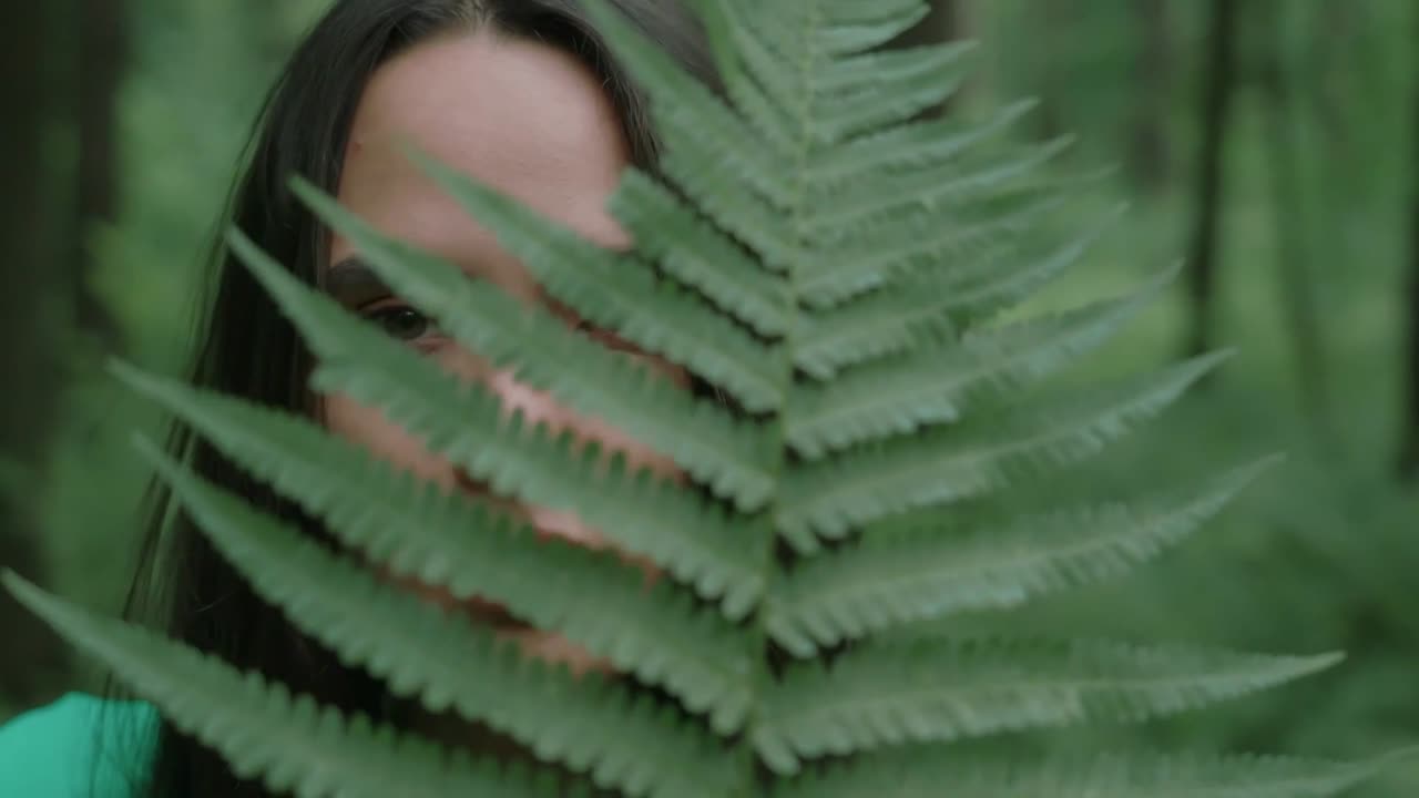 Light Leaks Transitions