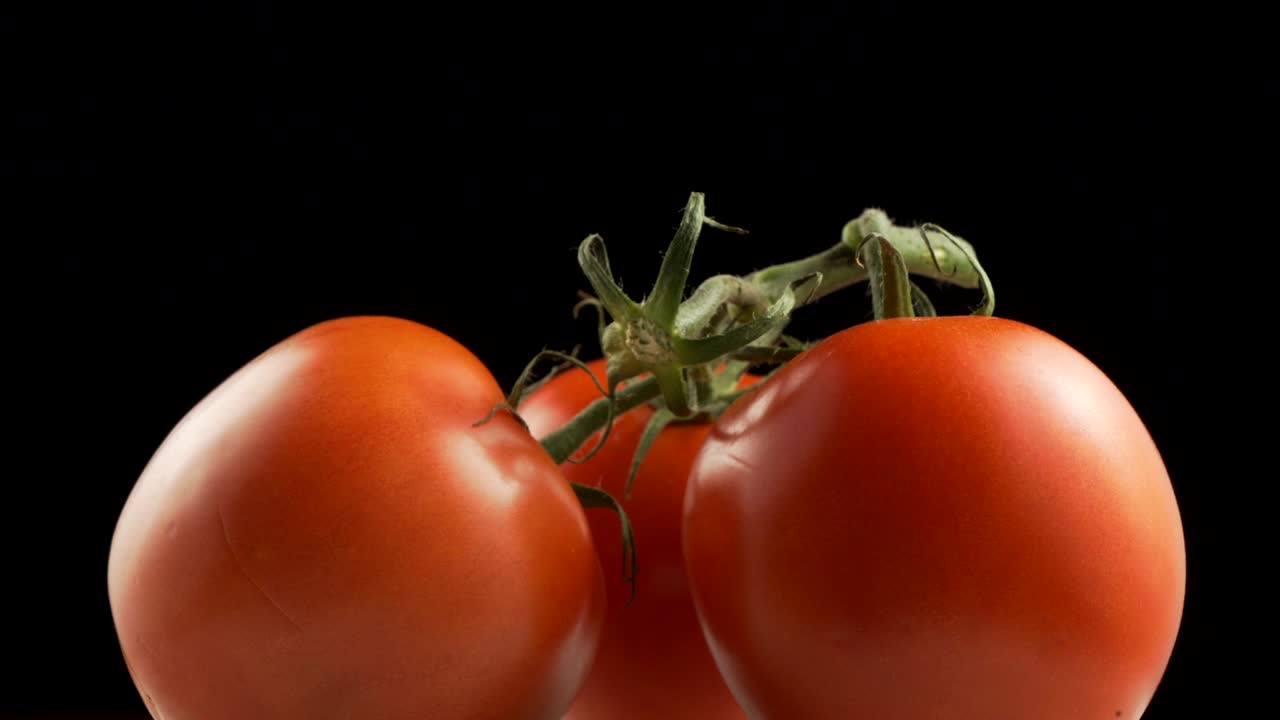 세 개의 신선한 유기농 토마토