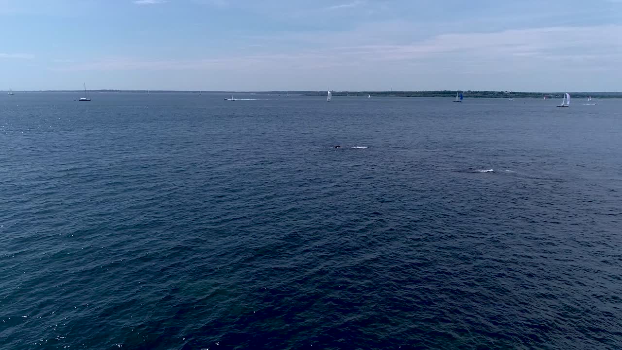 후지산에 들어오고 나가는 요트